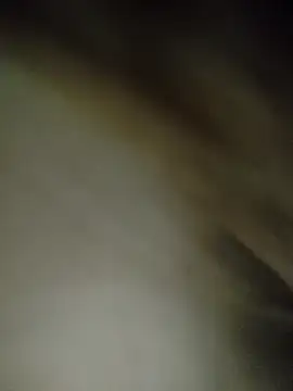 7alawa-44 online show from 02-05-26, 01:18