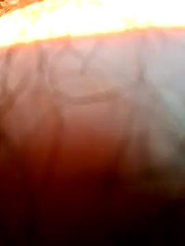 mfreitas005 online show from 04-22-26, 12:56