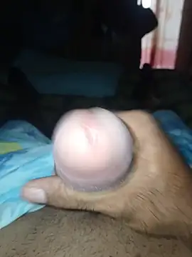 taylorWiiz online show from 02-05-26, 06:48