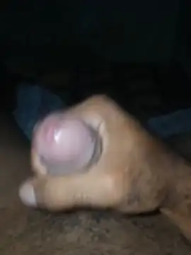 taylorWiiz online show from 10-24-25, 04:44