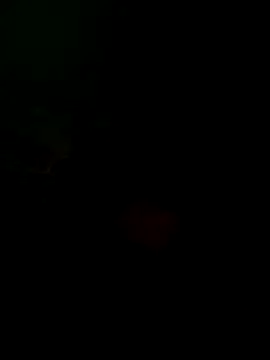 Snapshot of taylorWiiz chatting on 10-16-25, 05:32 taylorWiiz online show from 10-16-25, 05:32