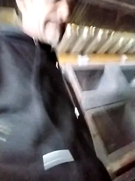 palomo41 online show from 03-18-25, 03:22