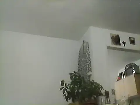 Snapshot of Bigpenis6y chatting on 12-03-24, 03:39 Bigpenis6y online show from 12-03-24, 03:39