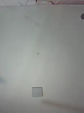 kiim taaylor online show from 02-25-26, 11:32