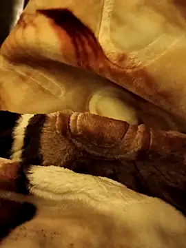 yhona darling online show from 12-16-25, 05:17