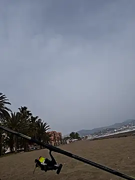 charlye inkkkk online show from 03-02-26, 02:35