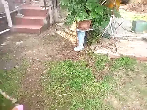 bustybillies online show from 10-11-25, 03:57