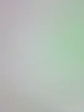 -Zelda- online show from 10-24-25, 08:30