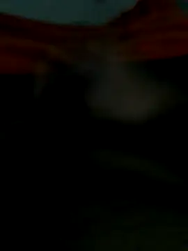 Snapshot of lm279 chatting on 10-25-25, 06:08 lm279 online show from 10-25-25, 06:08