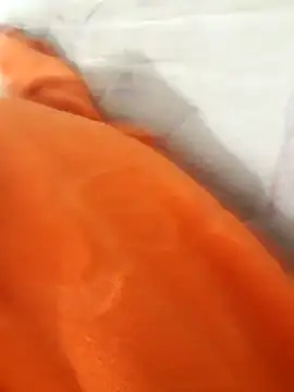 lm279 online show from 11-21-25, 04:17