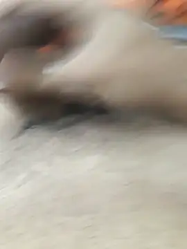 lm279 online show from 02-11-26, 03:45