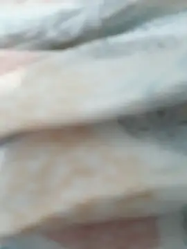 lm279 online show from 01-08-26, 03:07