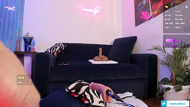 Venus R0se online show from 10-02-25, 02:42