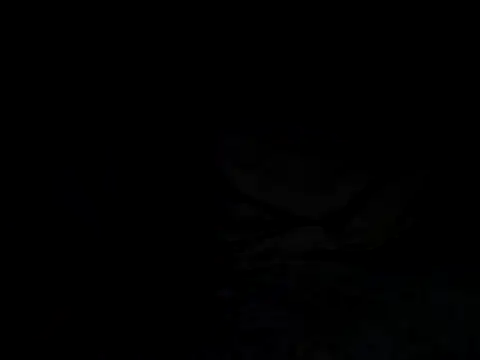 Snapshot of tonkisa chatting on 07-08-26, 09:48 tonkisa online show from 07-08-26, 09:48