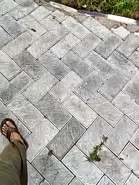 Ishan003 online show from 09-12-25, 01:39