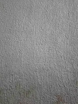 Priya Strip online show from 05-03-26, 11:47