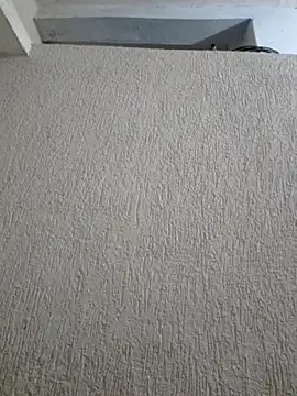 Priya Strip online show from 05-04-26, 08:00