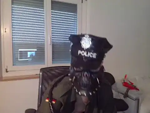 Angelbunn online show from 01-12-25, 08:25