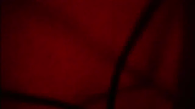 Snapshot of Nathaly_love96 chatting on 09-12-25, 06:07 Nathaly love96 online show from 09-12-25, 06:07