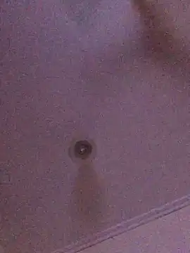 ty2003x33 online show from 12-26-24, 04:04