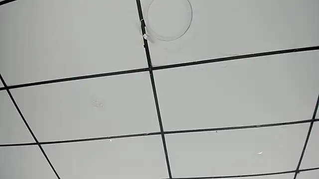 Sophia Lemos online show from 10-18-25, 01:46