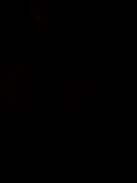 AssamSilchar93 online show from 02-24-26, 05:41