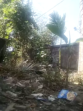 AssamSilchar93 online show from 02-08-26, 06:55