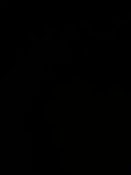 Jan4576 online show from 01-11-26, 12:12