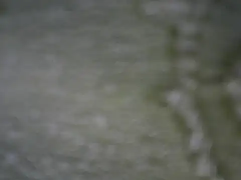 loneyguysammie online show from 06-17-26, 08:36