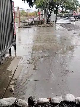 BeetledFlouter12 online show from 09-26-25, 07:10