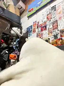 dafne19  online show from 02-06-26, 04:08