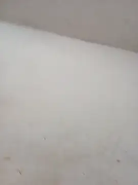 ambarlennoix online show from 10-01-25, 05:56