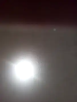 ambarlennoix online show from 03-13-25, 11:51