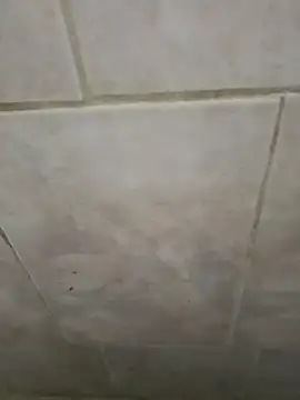 AlkalineCalmness online show from 04-11-26, 06:32