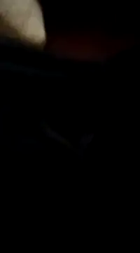 richnd333 online show from 12-17-24, 05:07