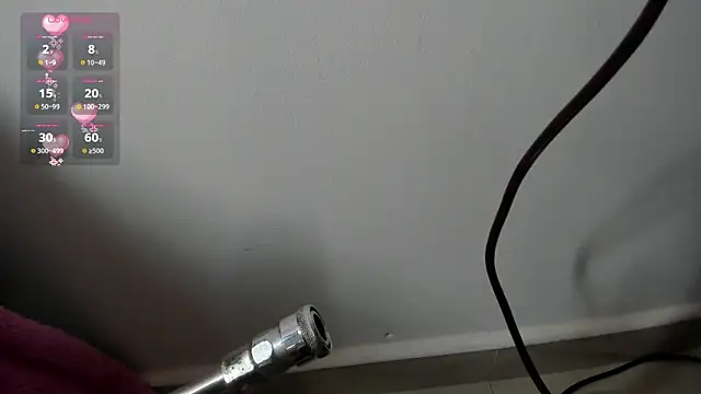 Elii ross online show from 11-11-25, 06:58