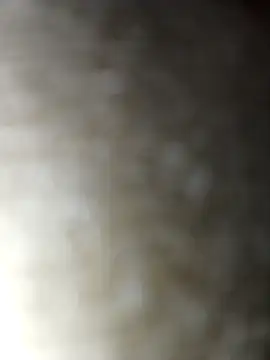 Sexybeer2005 online show from 12-01-25, 07:20