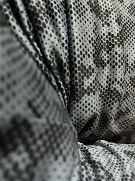 scientific4sex online show from 11-11-25, 04:57