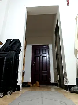 DDYY12341 online show from 11-18-25, 11:57