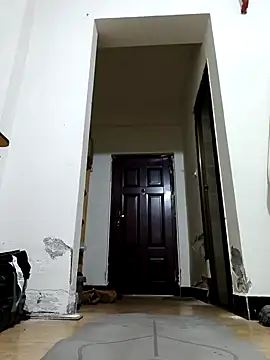 DDYY12341 online show from 12-20-25, 12:41