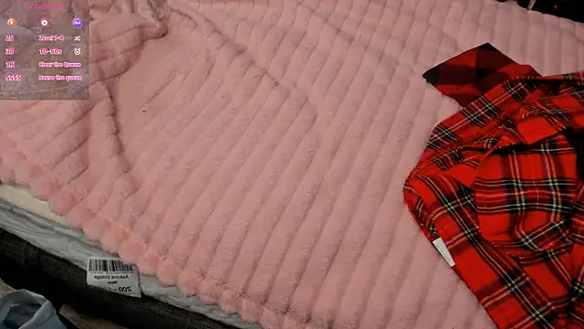 ZeldaDwight online show from 12-20-24, 04:57