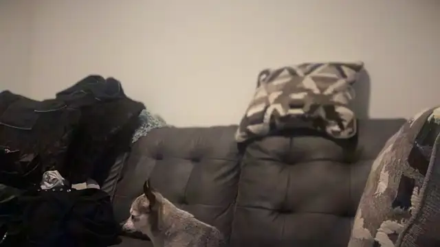 RavenRayyy online show from 10-22-25, 04:34