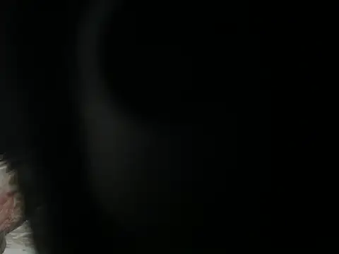 JOJO xxx 123 online show from 04-07-26, 02:24