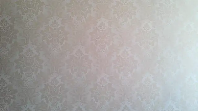 Kashtanka  online show from 10-01-25, 08:08