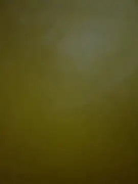 HeviZ online show from 01-21-25, 08:21