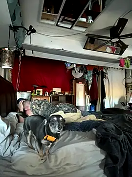 PeytonJohnn online show from 12-01-25, 04:08