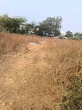 Abinash7732 online show from 01-14-25, 03:53