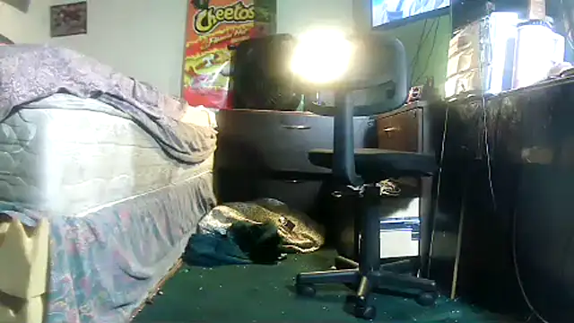 HBYAM online show from 02-23-26, 11:44