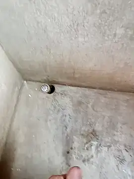 900irani online show from 12-10-24, 07:47