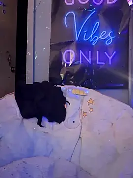 Snapshot of fantasymade69 chatting on 11-08-25, 06:50 fantasymade69 online show from 11-08-25, 06:50